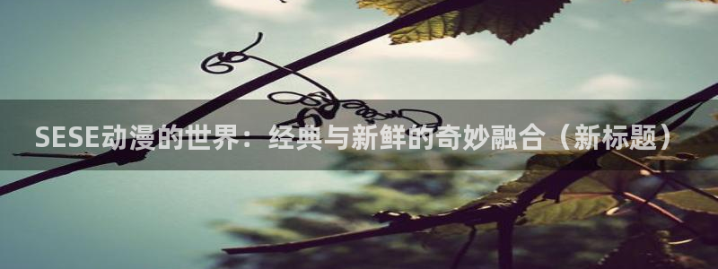 动漫天堂网站