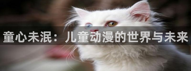 动漫天堂软件