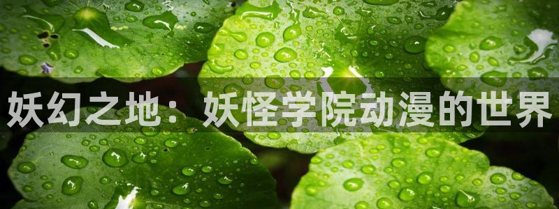 原神禁动漫天堂可莉