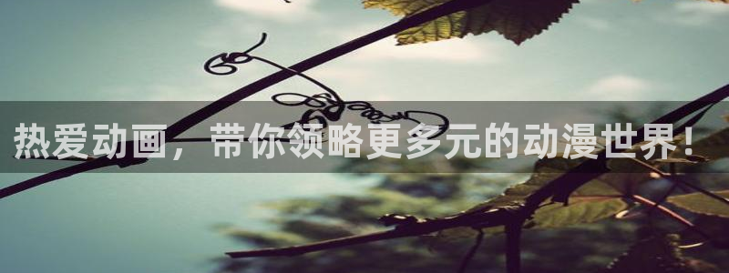 动漫天堂：热爱动画，带你领略更多元的动漫世界！