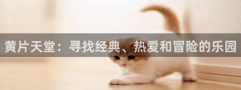 91动漫天堂：黄片天堂：寻找经典、热爱和冒险的乐园