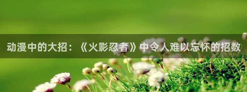 禁漫动漫天堂：动漫中的大招：《火影忍者》中令人难以忘怀的招数