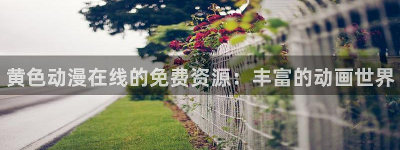 动漫天堂网址：黄色动漫在线的免费资源：丰富的动画世界