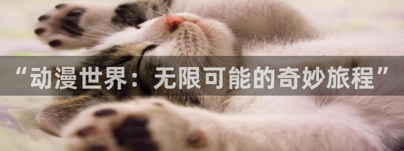 秋叶原动漫天堂：“动漫世界：无限可能的奇妙旅程”