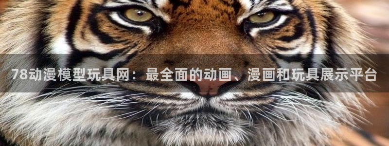动漫天堂官方正版下载：78动漫模型玩具网：最全面的动画、漫画和玩具展示平台