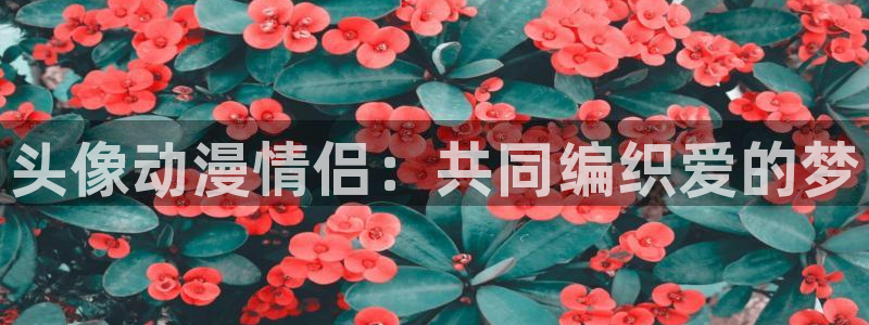 acg动漫天堂：头像动漫情侣：共同编织爱的梦
