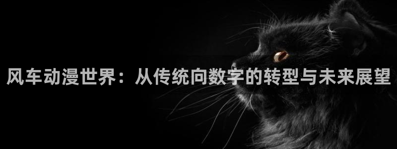 av动漫天堂网：风车动漫世界：从传统向数字的转型与未来展望