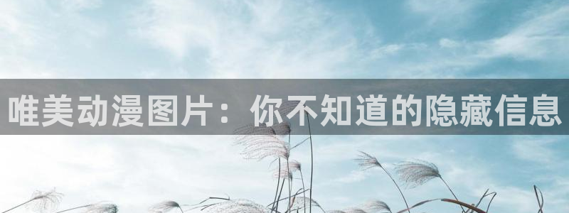 动漫天堂岛