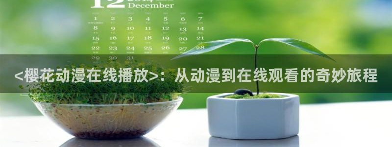 男人动漫天堂在线