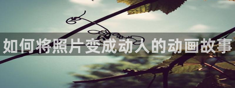动漫天堂3d