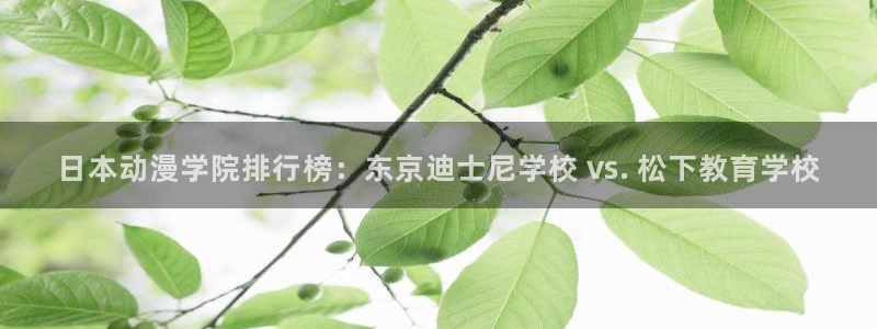 动漫天堂.cc