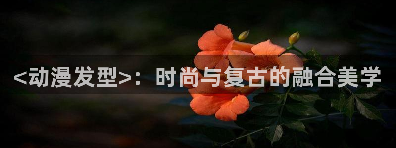 3d动漫天堂网