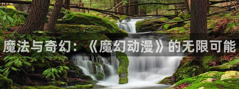 动漫天堂下载安装最新版