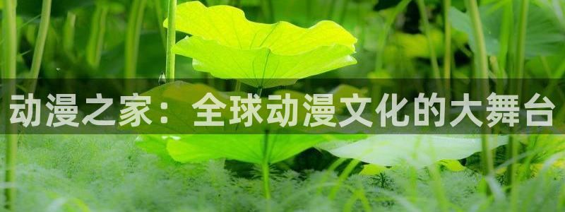 成人动漫天堂
