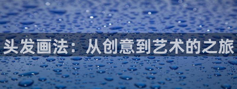 动漫天堂18：头发画法：从创意到艺术的之旅