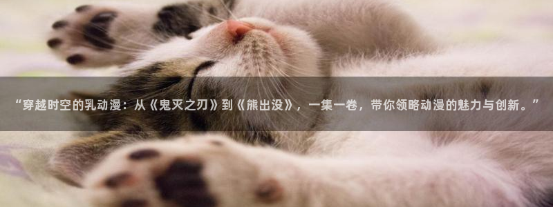 动漫天堂从哪下载安装：“穿越时空的乳动漫：从《鬼灭之刃》到《熊出没》，一集一卷，带你领略动漫的魅力与创新。”