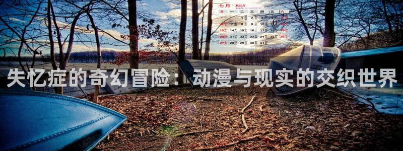 动漫天堂免费观看：失忆症的奇幻冒险：动漫与现实的交织世界
